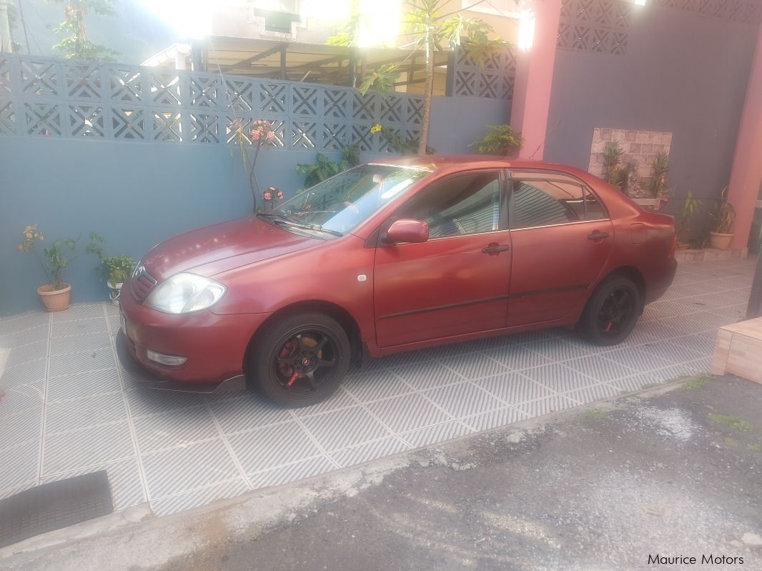 Toyota Corolla nze in Mauritius