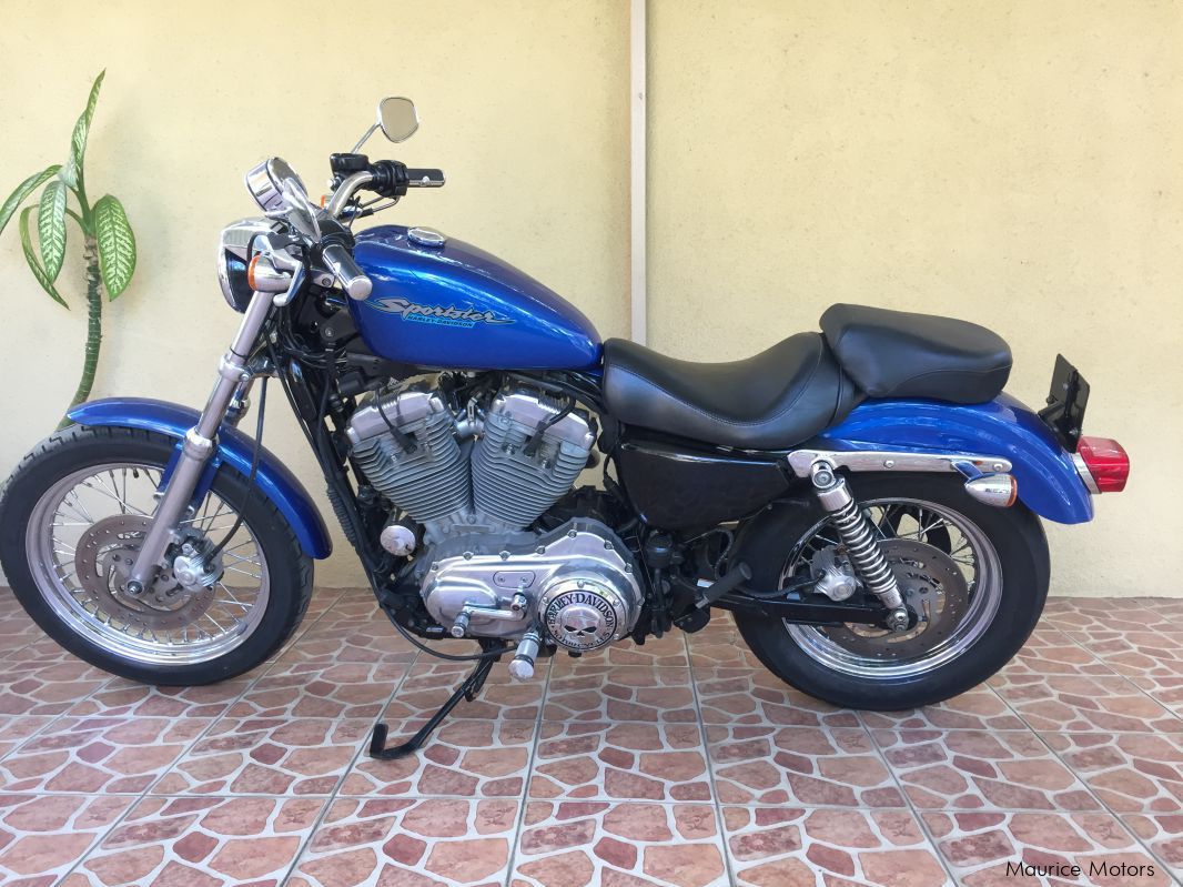 Harley-Davidson Sportster XL883 in Mauritius