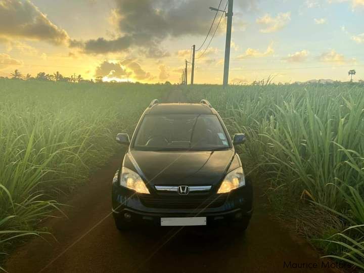 Honda CR-V in Mauritius