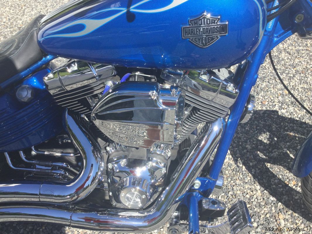 Harley-Davidson Rocker FXCWC Bobber in Mauritius