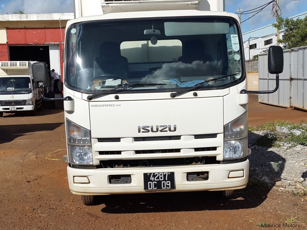 Isuzu NPF71H frigo truck in Mauritius