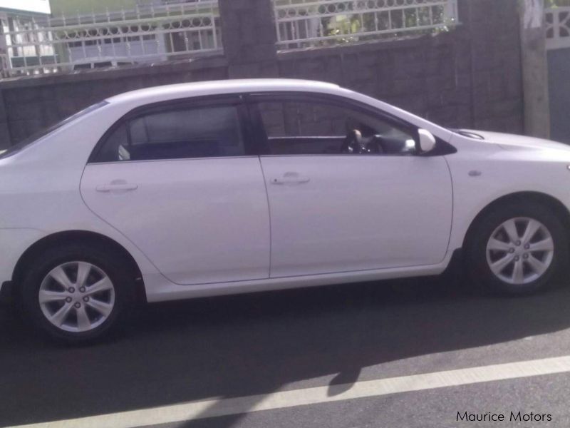 Toyota Corolla in Mauritius