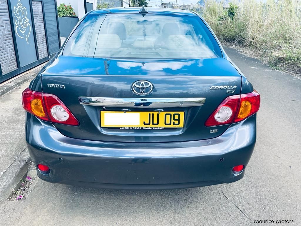 Toyota Corolla in Mauritius