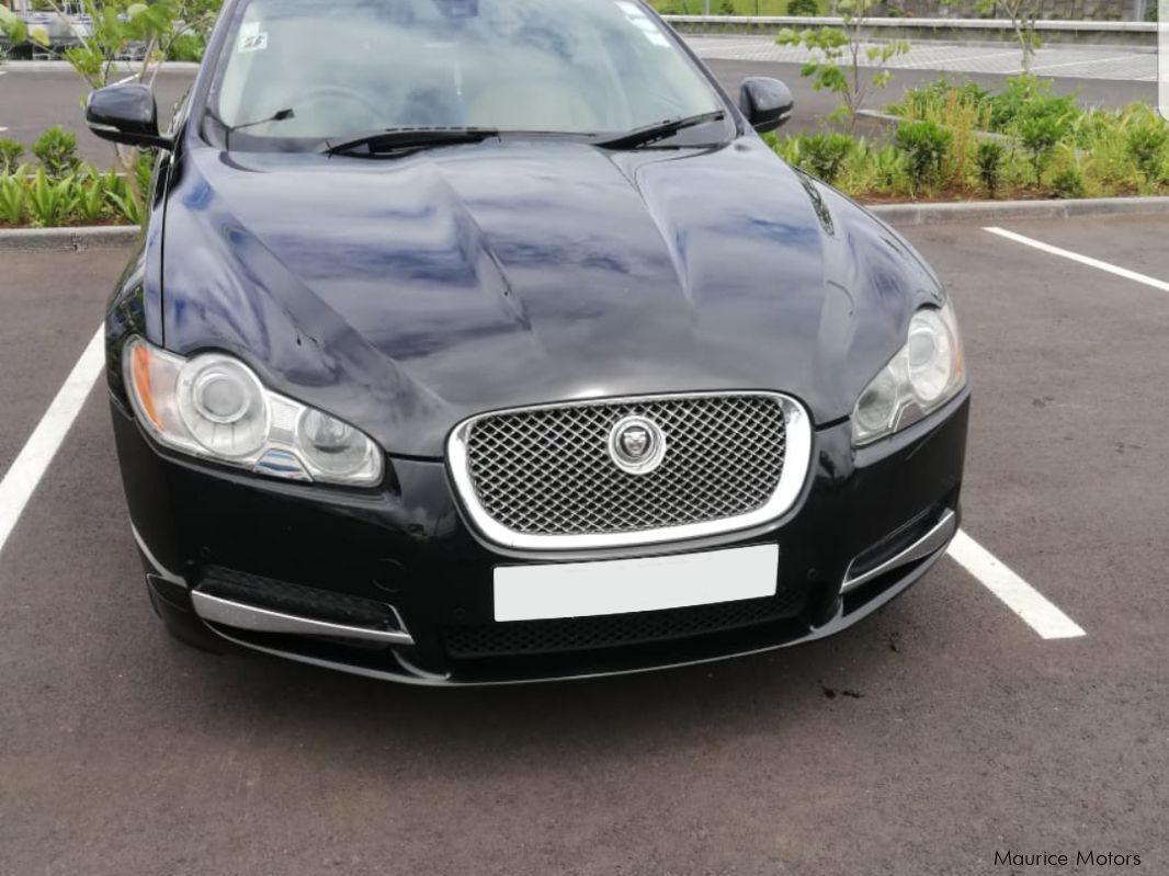 Jaguar XF X250 in Mauritius