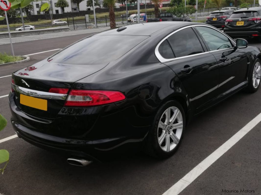 Jaguar XF X250 in Mauritius