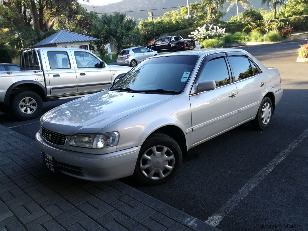 Toyota AXIO in Mauritius