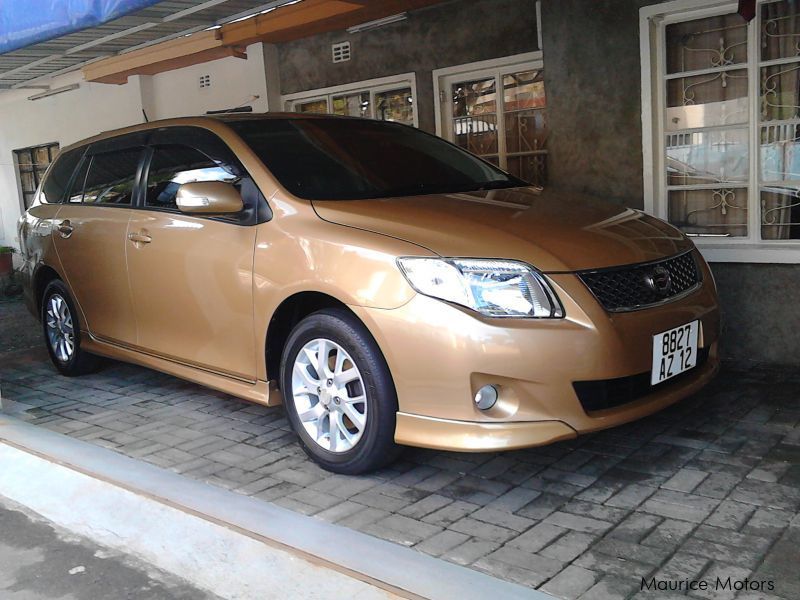 Филдер 2012 год. Toyota Corolla Fielder Gold. Филдер золотого цвета. Тойота Филдер коричневый цвет. Софи Голд Филдер.