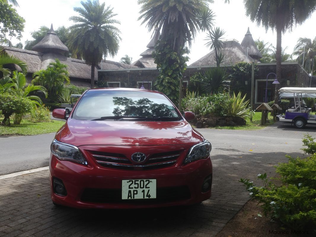 Used Toyota Corolla 2014 Corolla For Sale Saint Julien