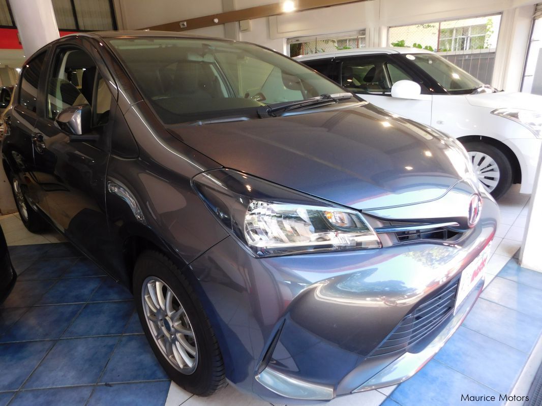 Toyota VITZ - DARK GREY - LOW MILEAGE in Mauritius