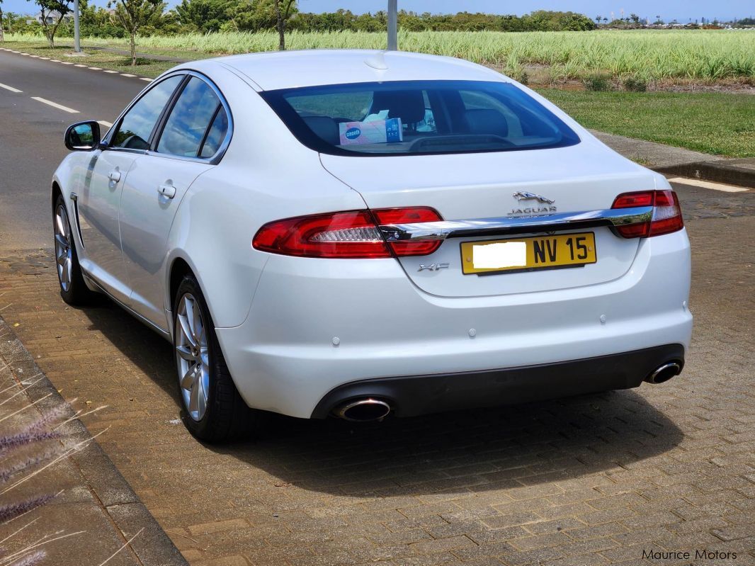 Jaguar XF 2.0 in Mauritius