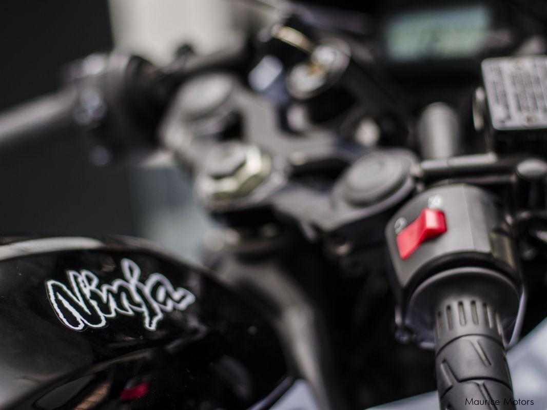 kawasaki ninja 250 sl price