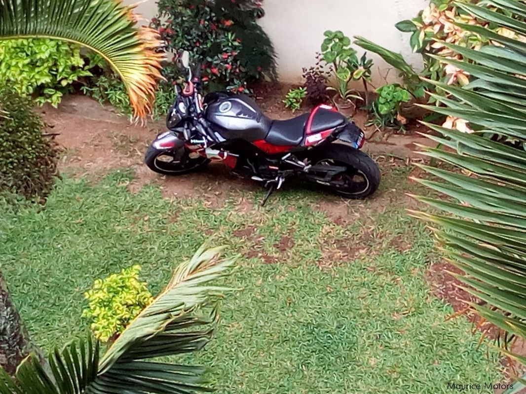 Kawasaki Z300 in Mauritius