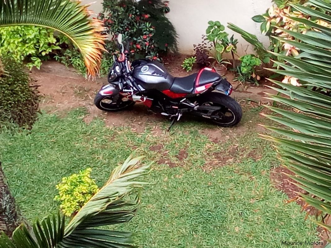 Kawasaki Z300 in Mauritius