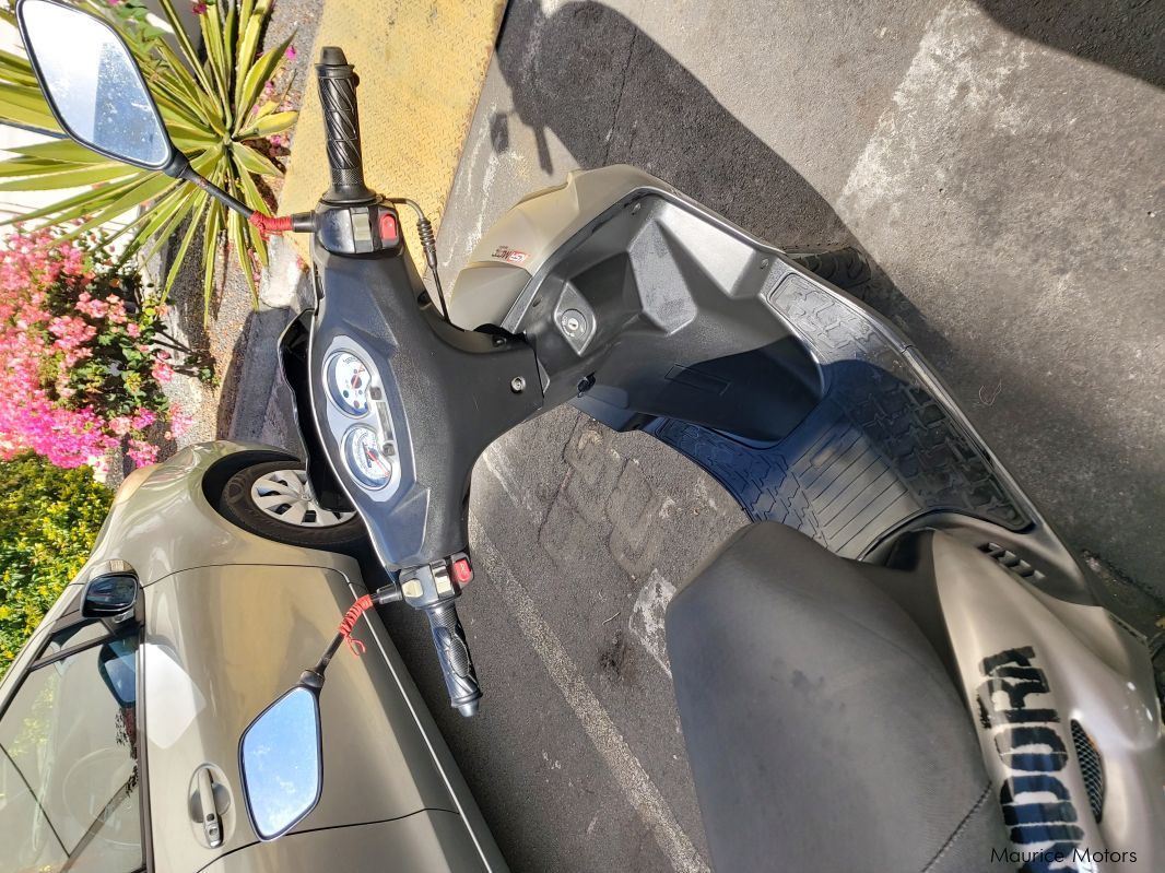 Easy Rider 100cc 2T in Mauritius