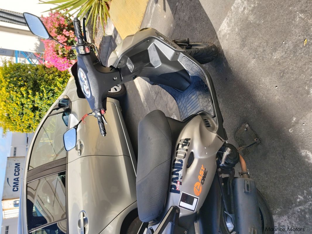 Easy Rider 100cc 2T in Mauritius