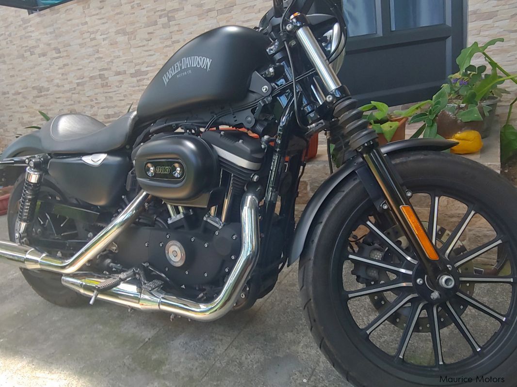 Harley-Davidson Sporster 883 in Mauritius