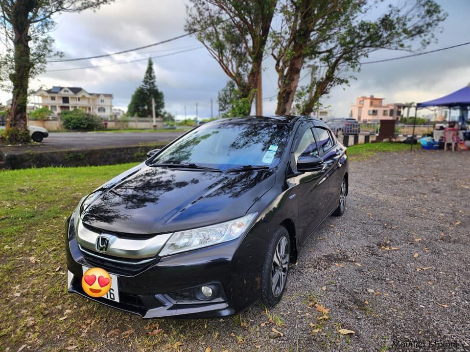 Honda Grace in Mauritius