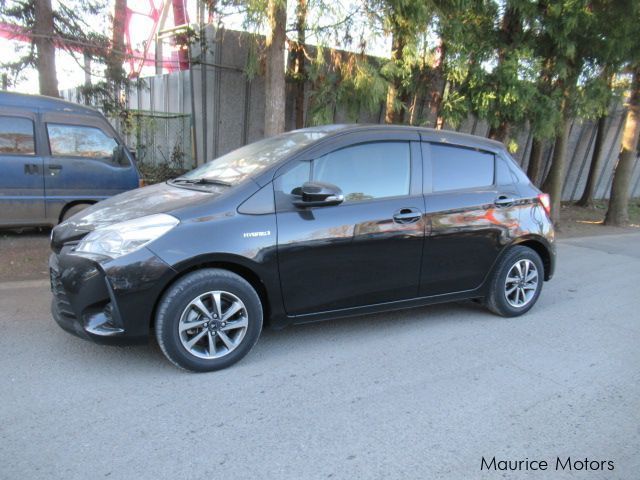 Toyota Vitz in Mauritius