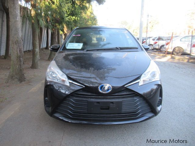 Toyota Vitz in Mauritius