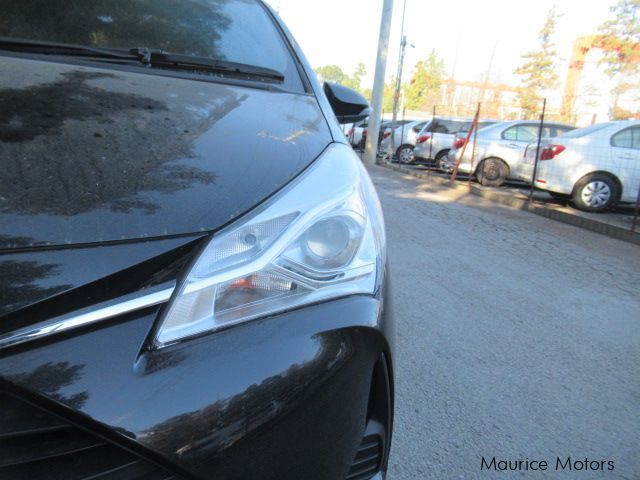 Toyota Vitz in Mauritius