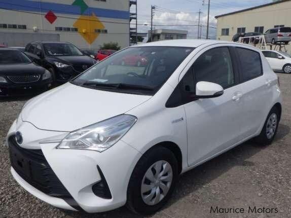 Toyota Vitz Hybrid in Mauritius