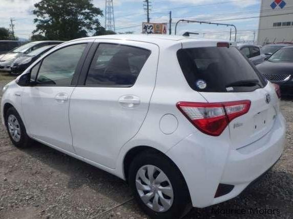 Toyota Vitz Hybrid in Mauritius