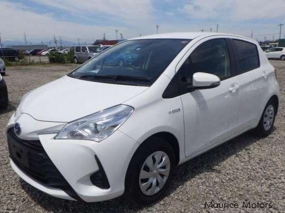 Toyota Vitz Hybrid in Mauritius