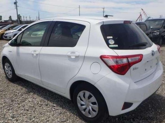 Toyota Vitz Hybrid in Mauritius