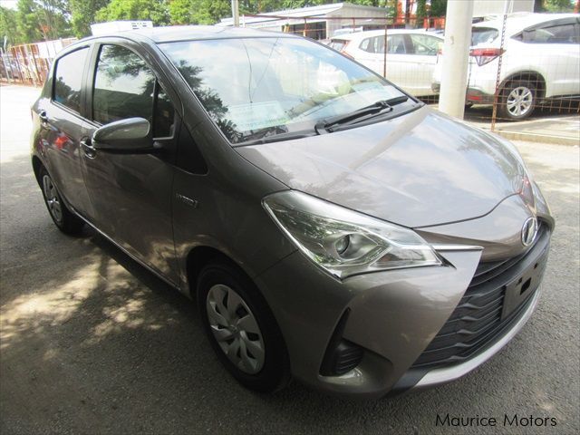 Toyota Vitz Hybrid in Mauritius