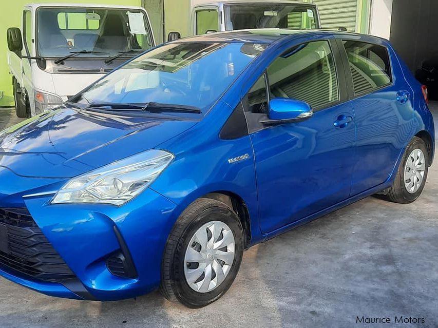 Toyota Vitz Hybrid in Mauritius