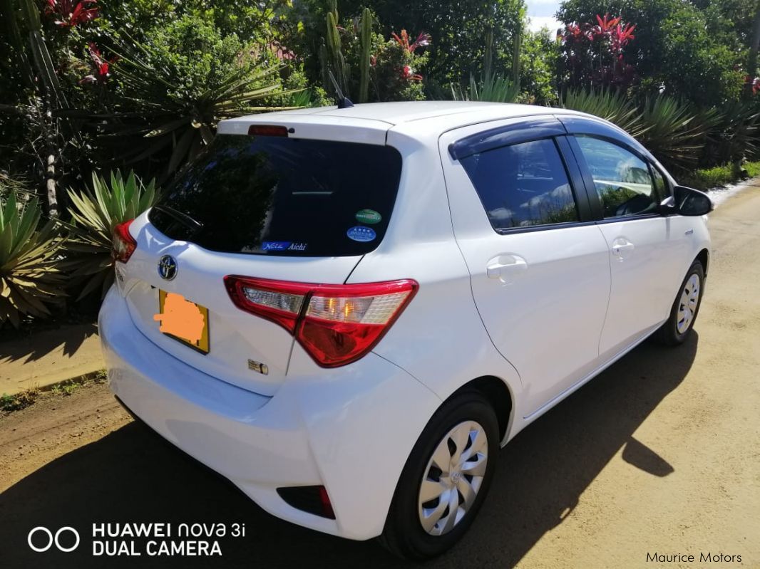 Toyota Vitz Hybrid in Mauritius