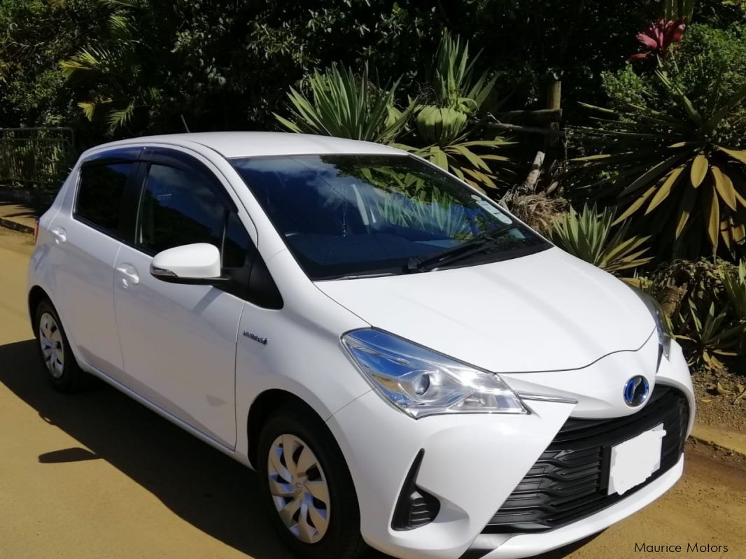 Toyota Vitz Hybrid in Mauritius