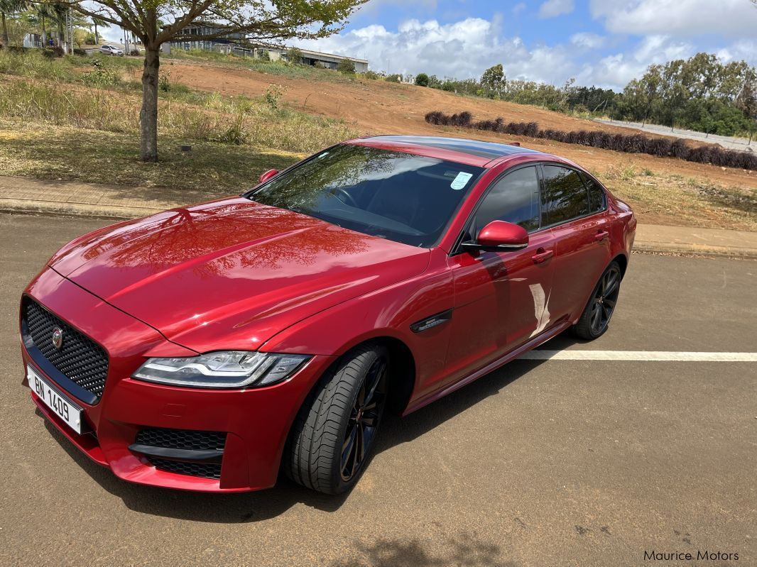 Jaguar XF in Mauritius