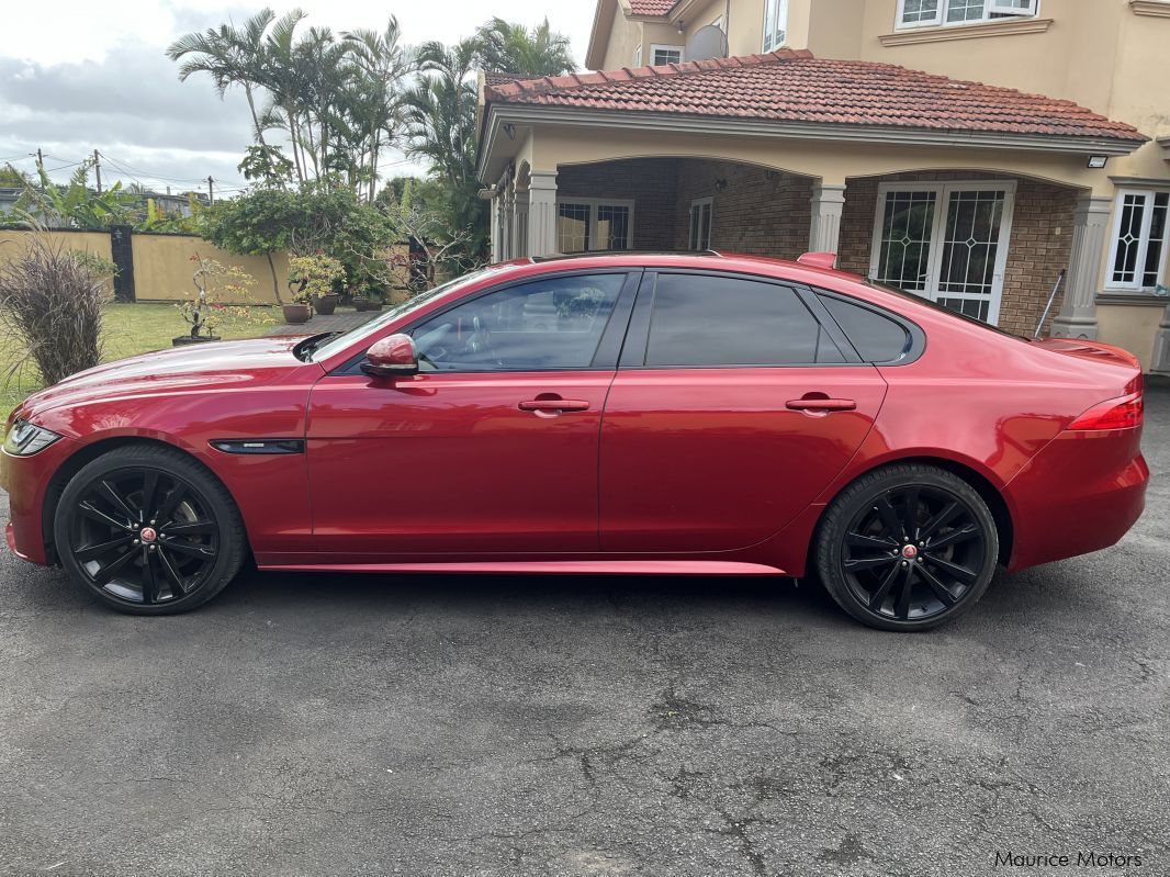 Jaguar XF in Mauritius