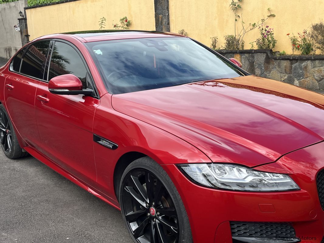 Jaguar XF in Mauritius