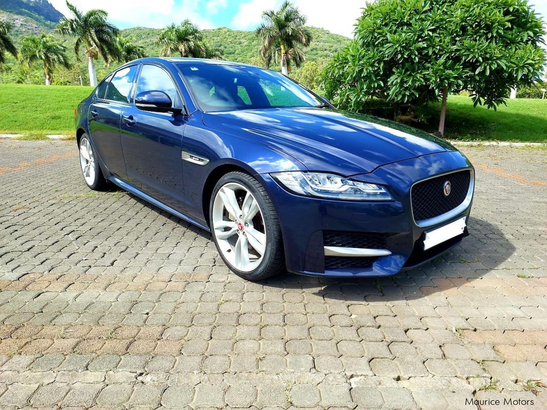 Jaguar XF in Mauritius