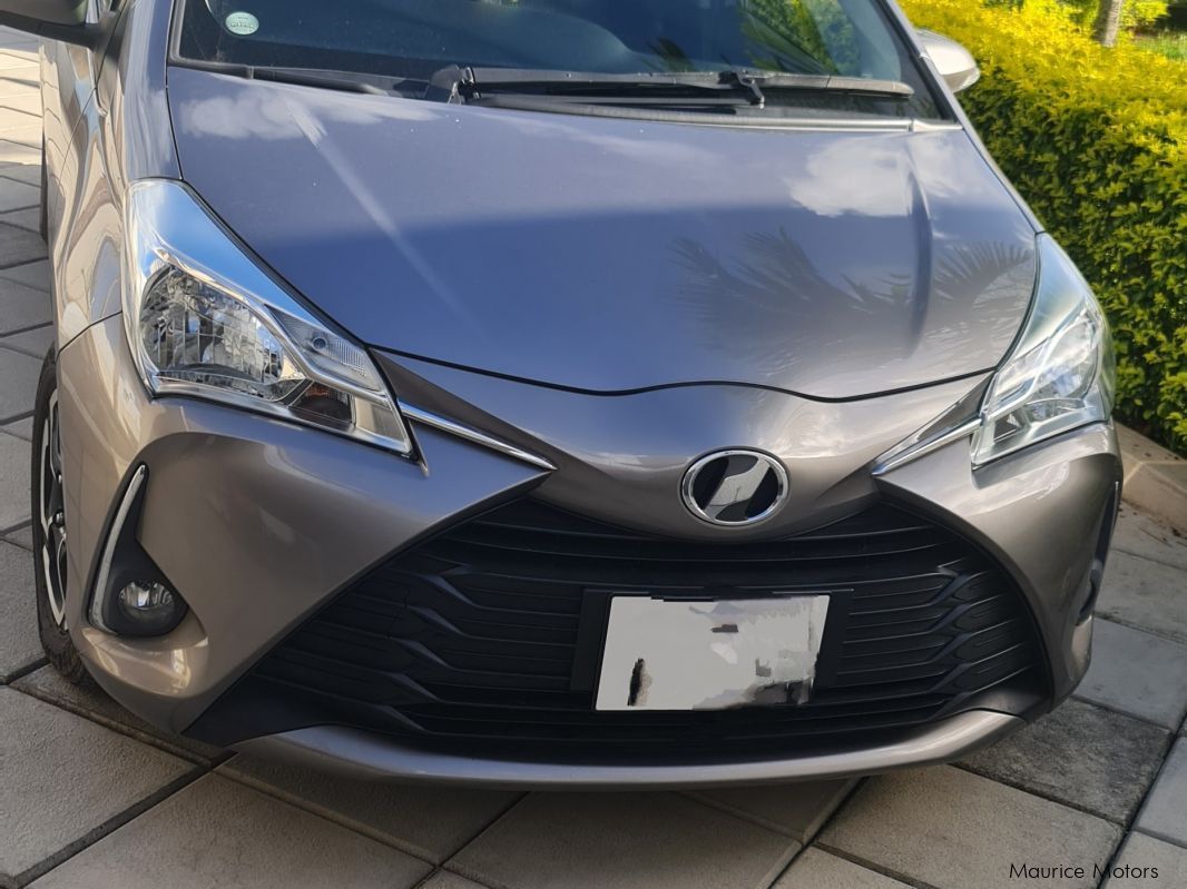 Toyota Vitz in Mauritius