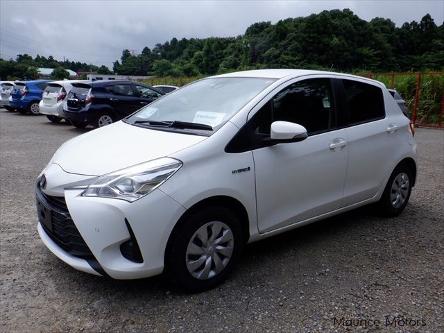 Toyota Vitz in Mauritius