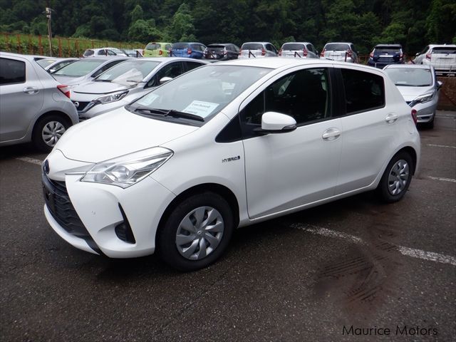 Toyota Vitz in Mauritius