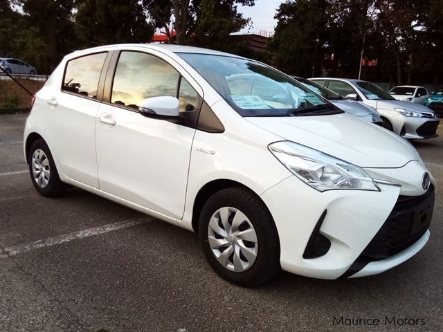 Toyota Vitz in Mauritius