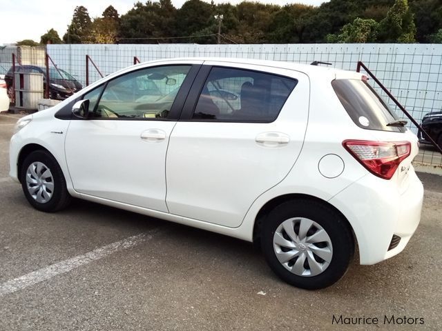 Toyota Vitz in Mauritius