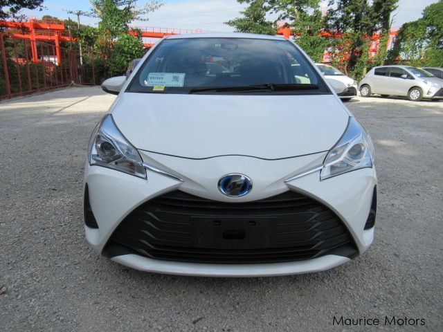 Toyota Vitz in Mauritius