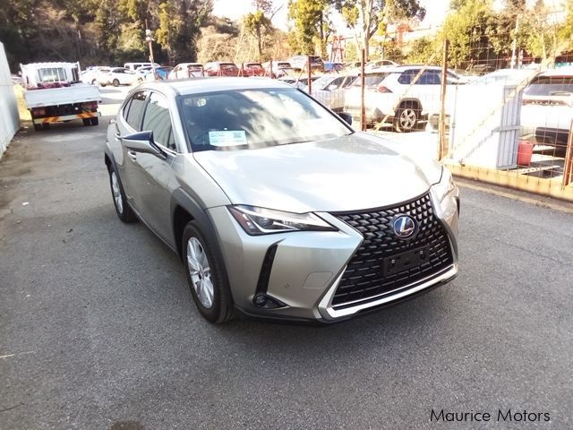 Lexus UX in Mauritius