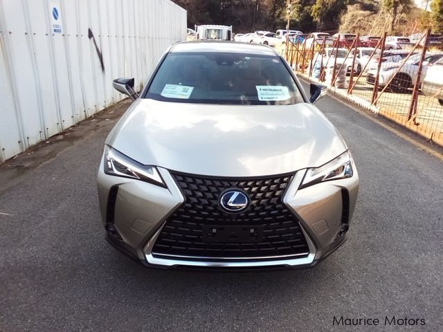 Lexus UX in Mauritius