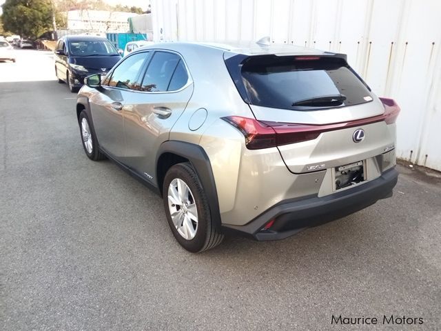 Lexus UX in Mauritius