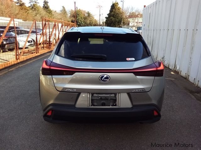 Lexus UX in Mauritius