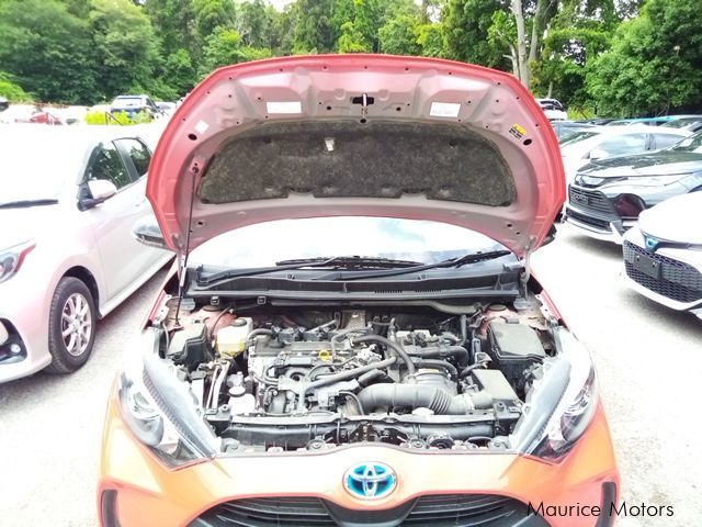 Toyota Toyota Yaris Hybrid in Mauritius