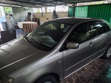 Pre-owned Toyota NZE for sale in 