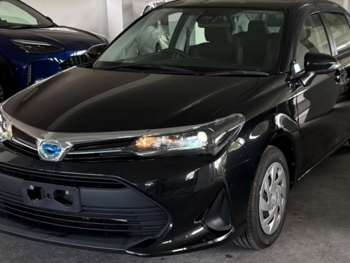 Used Toyota Axio EX Hybrid for sale in Vacoas